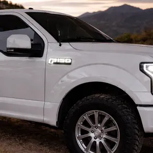 Ford F-150 LED Fender Emblems (2015–2020) – Black Housing, White Illumination | 2 Pc Kit