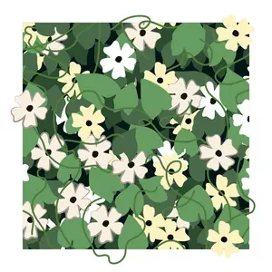 White Black-eyed Susan Vine Print