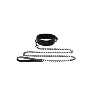 Sincerely Bow Tie Collar & Leash