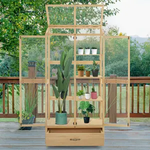 Cold Frame Greenhouse, 0864