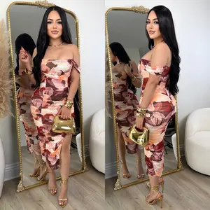 Destiny Mesh Dress (Multicolor)