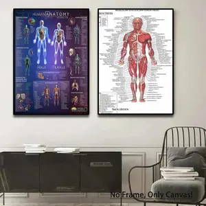 Human Body Muscle & Nerve System Anatomy Canvas Painting without Frame, Unframed Painting, 2 Counts/set Modern Wall Art Poster, Wall Decor for Home Living Room Bedroom Office School