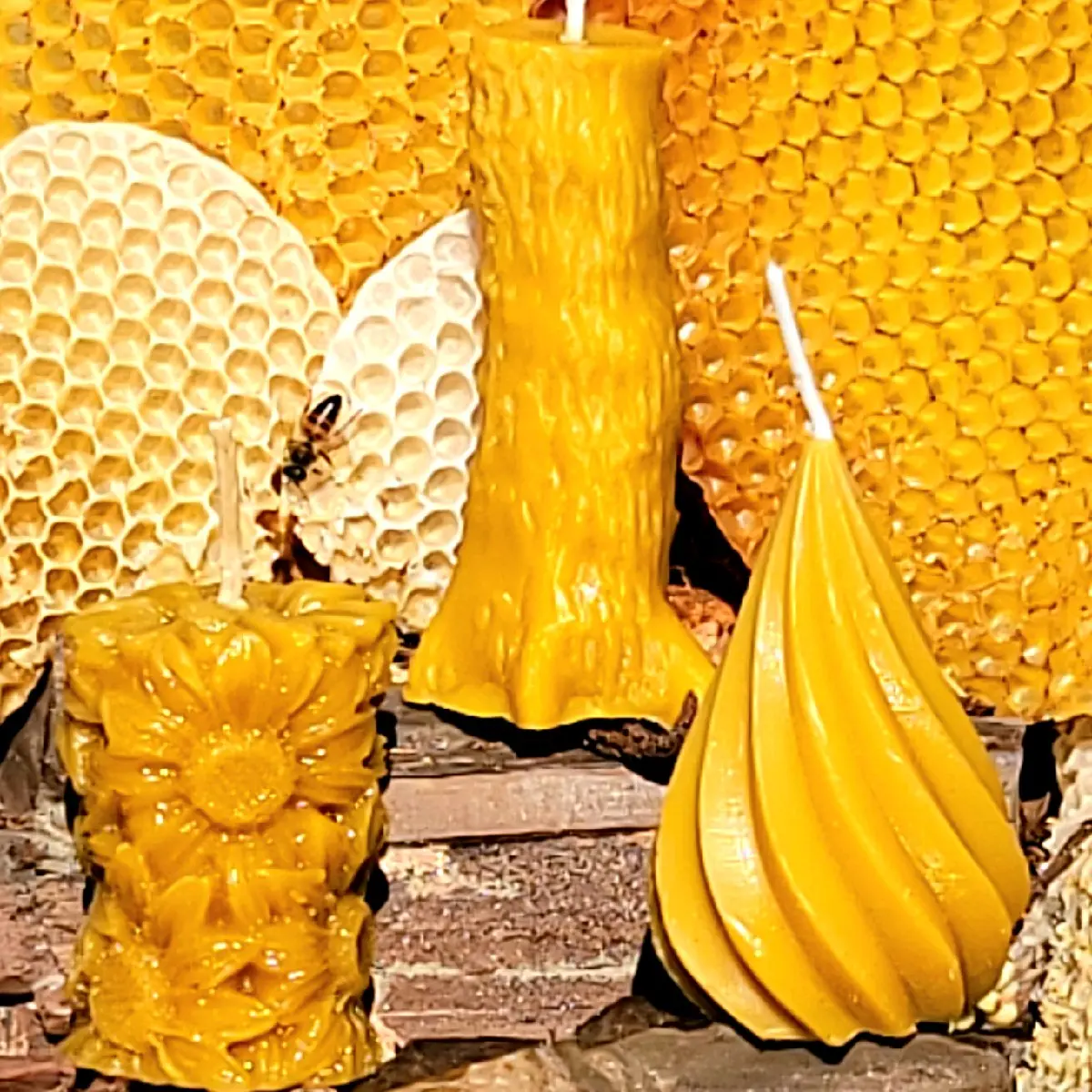 Pure Beeswax Bee Bundle