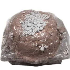 BARROLGA Volcán  barro /clay suave, con trozos de Caolin. Made in Mexico