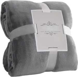 Lightgrey Throw Blanket 50x60 Inches, Soft Plush Cozy Fleece Flannel Throw Blanket, Lightweight Warm Throws for Bed, Couch, Bedroom and Living Room,  Seasons