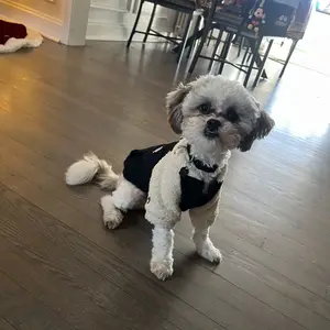 Thick Warm Fleece Fleece Dog Vest with New York Graphic, Warm Winter Puppy Coat for Small Breeds Teddy Bichon Pomeranian Shih Tzu #GLOBAL PICKS