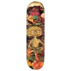 Baker Skateboard Deck Casper Brooker Block Busters 8.25" x 31.676"