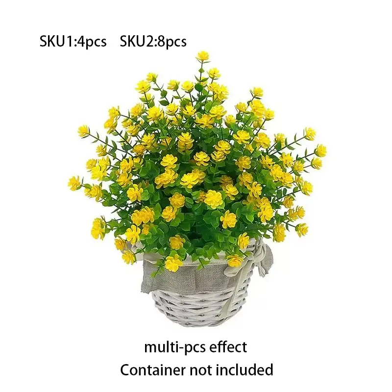 peony pot plant MINI PEONY POTTED 6.5