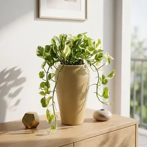 LZ02 / 6 Inch Pot Golden Pothos (Long Variegated Trailing Vines), Live Epipremnum Aureum with Green & Golden Marbled Heart Leaves, Low Light Tolerant Tropical Houseplant for Shelves, Hanging Displays & Home Interior Decor