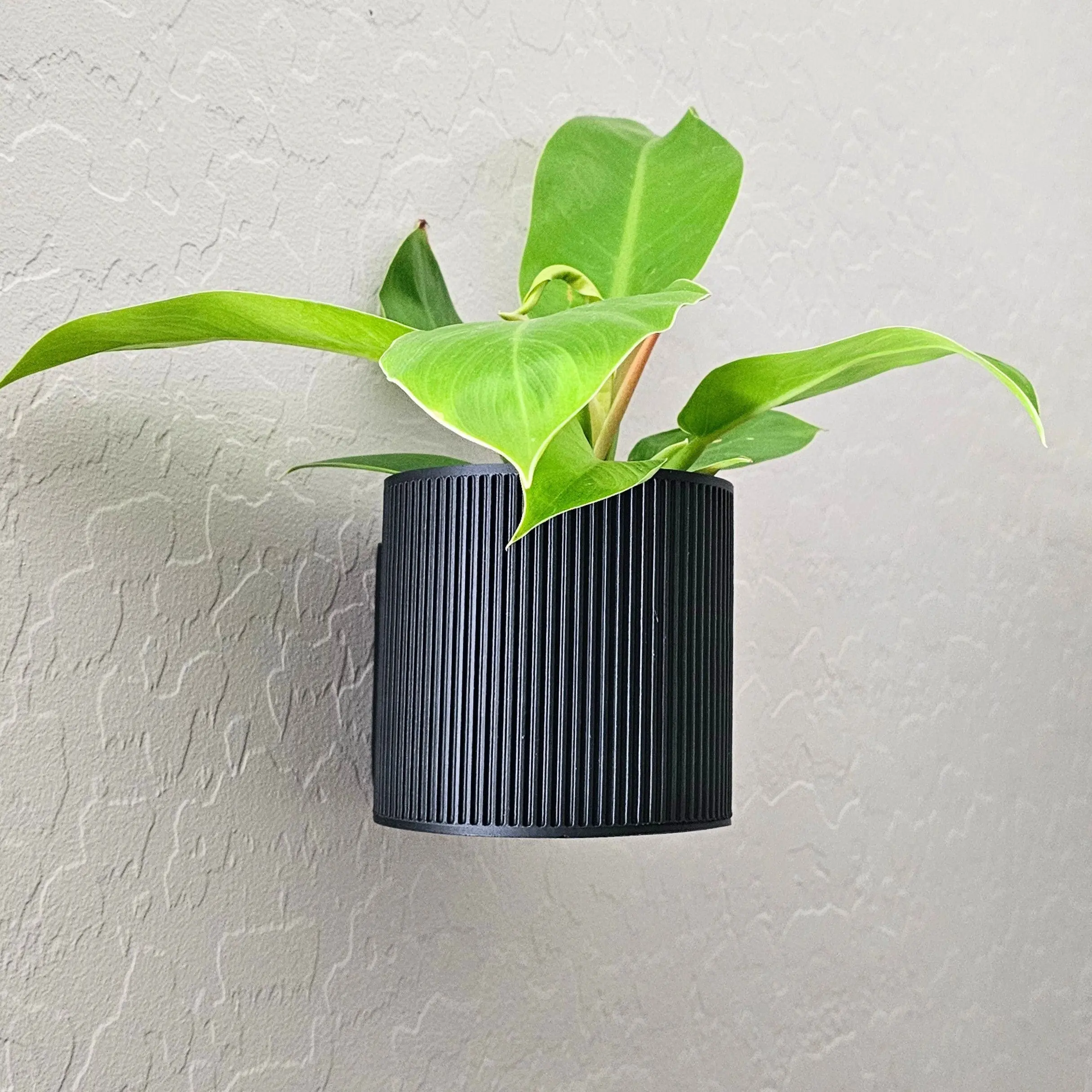 Wall Mounted Planter - Unique Wall Planter - Wall Plant Pot