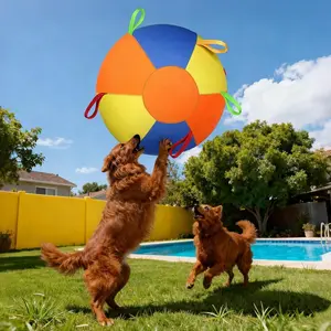 Dog Giant Ball Toy Set, Oxford Cloth Cover + 2 Inner Balls, Full Set Dog Play Ball, Golden Retriever Bite Ball, Fun Pet Interactive Training Ball