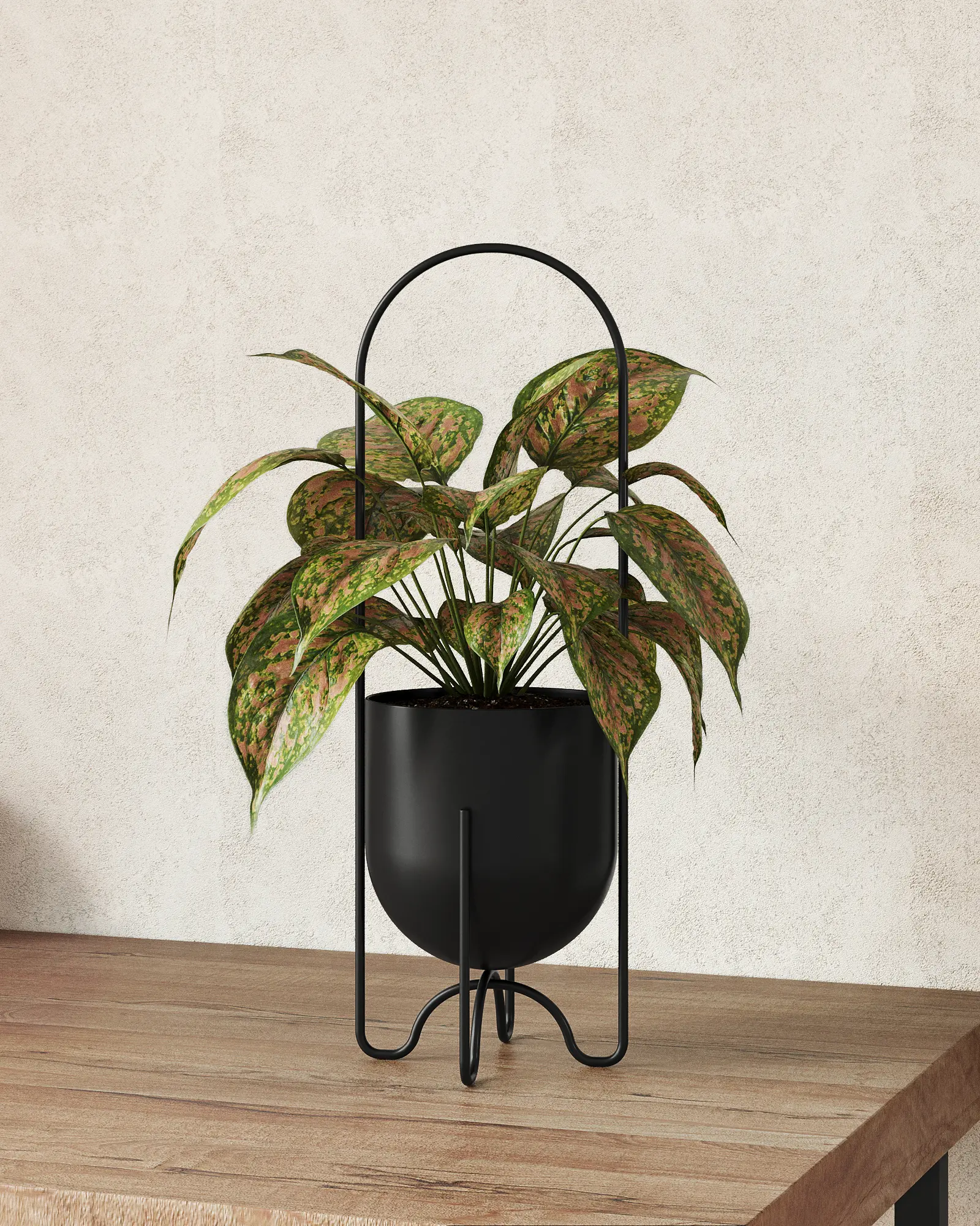Bamworld Hanging Planter for Indoor & Outdoor Plants Metal Plant Hanger 5 Inch Plant Pot Black White for Tabletop Window Porch Balcony Décor, Wall Plant Holder, Metal Build