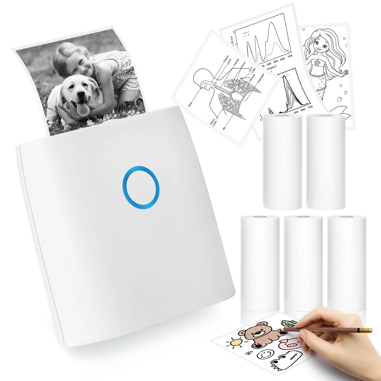 1 Printer (White)+5 Roll label