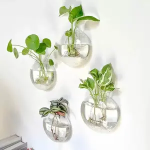 Hydroponic Hanging Glass Planter