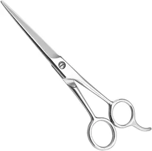 Professional Japan SS Hair Scissors Razor Edge 61/2