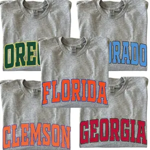 Vintage Varsity College T-Shirt, Sport Grey Vintage College Mascot T-Shirt, Retro NCAA Style Graphic Tee, University Sports Shirt, Unisex Cotton Top, Classic Campus Streetwear