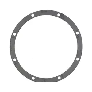 ALA-PT  Sta-Rite Pump Gasket