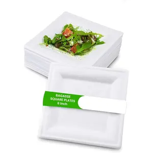 FPN Compostable Square Plates 6 in 125 pack, Sugarcane Eco-Friendly Dinnerware, Biodegradable Disposable Party Plates for Hot & Cold Food