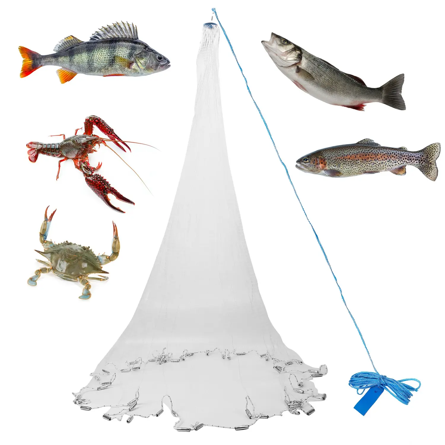 6ft/8ft Portable Hand Cast Fishing Net - Heavy-Duty Durable Mesh Collecting Net, Built-in Chain Sinker for Fast Sinking, Easy-Throw Wide Bottom Trap for Lake, River Angling, Collecting Nets
