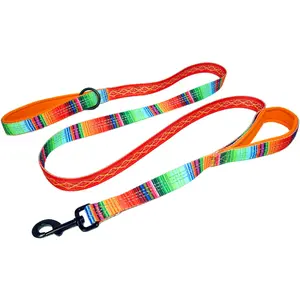 Two Handle Dog Leash