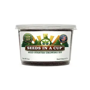 Powderpuff Aster Grow Kit | Grow Powderpuff Aster from Seed | Seeds In A Cup®
