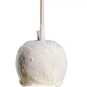 Cheesecake White Chocolate Gourmet Caramel Candy Apple
