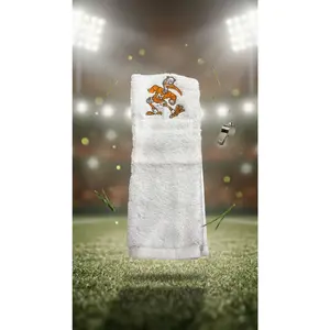 OG Miami Hurricanes Towel