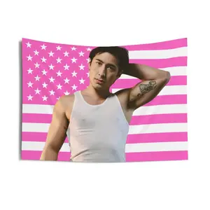 Heated Rivalry Pink American Flag| Hollanov, Shane Hollander, Hudson Williams, Dorm Room Tapestrychic design  room bedroom