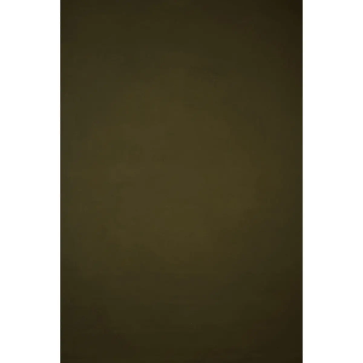 Gravity Backdrops Hand Painted Classic Collection Canvas Mid Texture Backdrop, 8.9x16.4', Olive Green