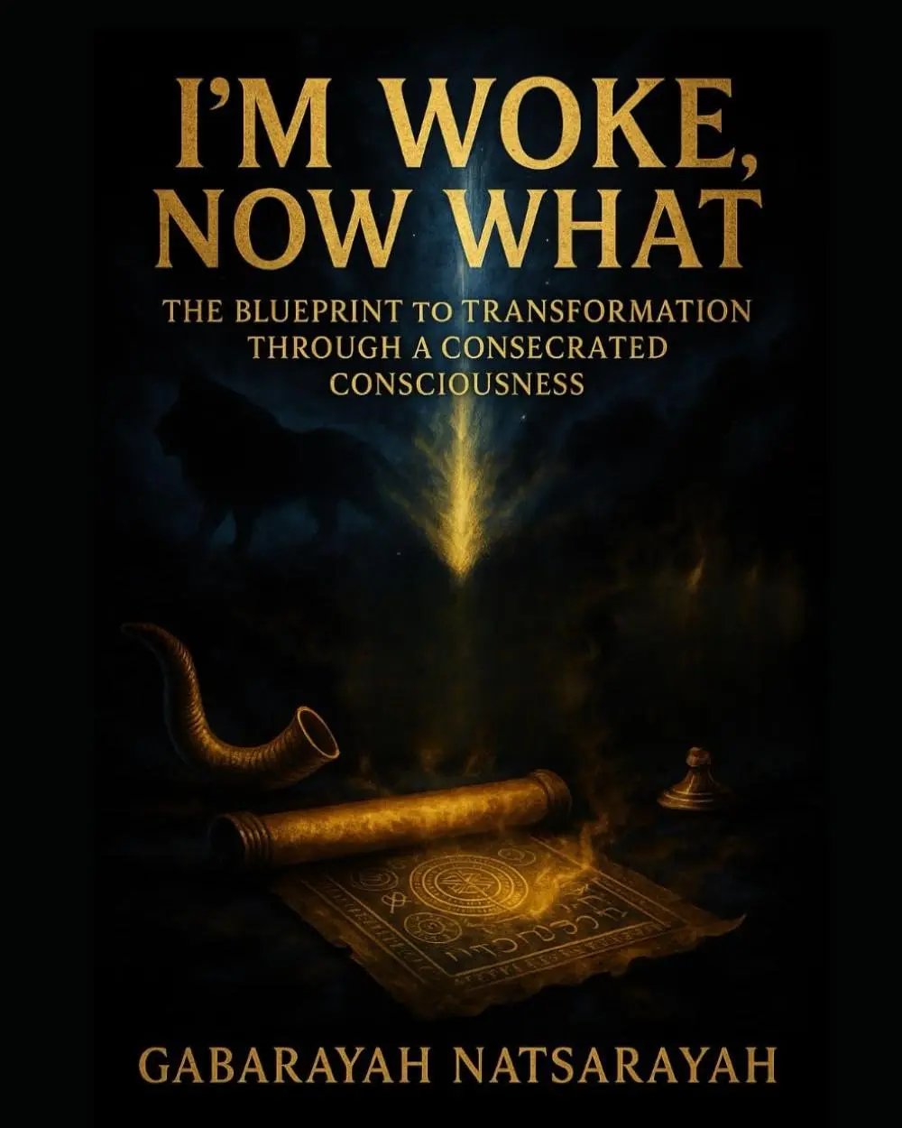I'm Woke Now What: The Blueprint To A Transformed Life Through A Consecrated Consciousness (DELUXE CERTIFICATION + PROPHETIC ACTIVATION EDITION) (Consecrated Consciousness Series)