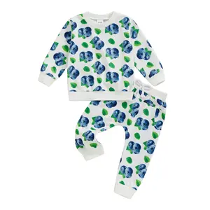 Toddler Baby Boys Autumn 2PCS Outfit Sets Infant Boys Long Sleeve O Neck Blueberry Print Tops + Casual Pants Sets