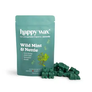 Wild Mint & Nettle Wax Melts