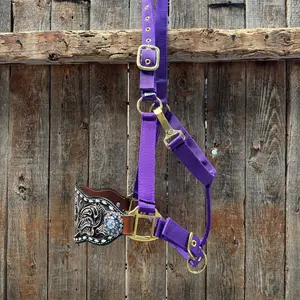 Purple Nylon Horse Halter – Bronc Noseband with Crystal Conchos NH108