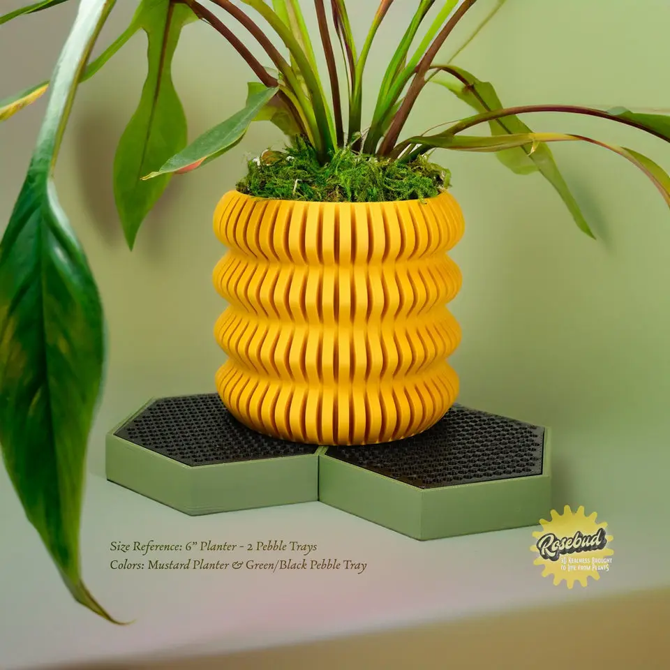 Water Humidity Tray for Houseplants, Includes Pebbles Water Humidity Tray for Houseplants, Includes Pebbles