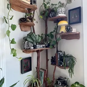 Fairy /witchy handmade real tree branch shelves— magical design | raw wood