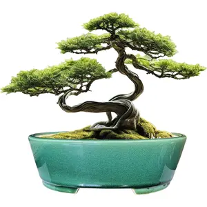 9" Glazed Oval Green Bonsai Planter Pot with Humidity Tray, Classic Neat Ice Crack Long Bonsai Tree Succulent Plant Pot with Saucer