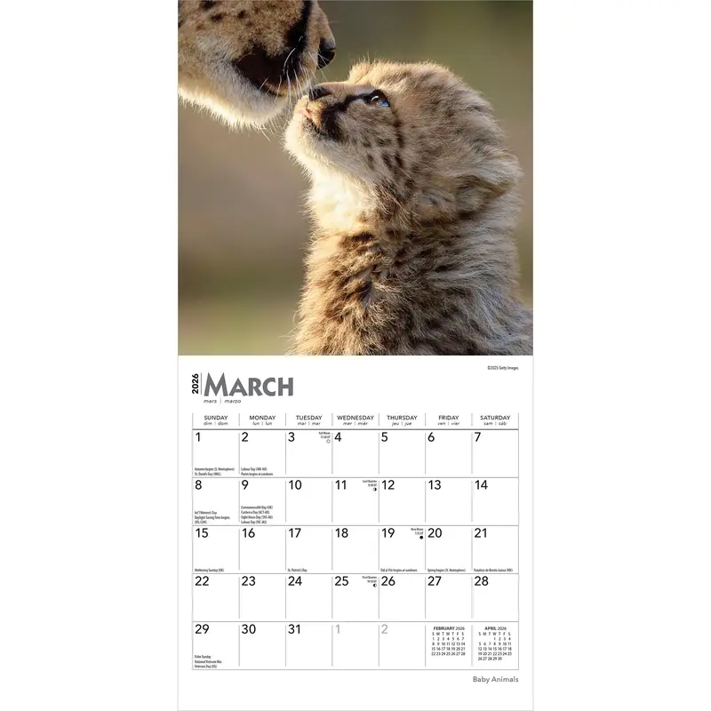 Baby Animals | 2026 7 x 14 Inch (Hanging) Monthly Mini Wall Calendar | BrownTrout | Domestic Pets Chicken Small Cute 2