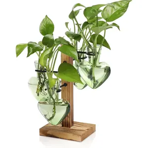 Terrarium Propagation Stations with Wooden Stand, Glass Vase for Indoor Hydroponics  Garden Office Decoration  for Women - 4 Love Bulb Vase