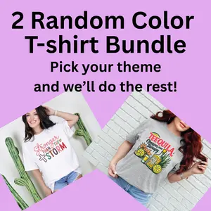 2 Tee Bundle Grab Bag Random Color Gildan Unisex Fit Shirt Prints Top Tshirt Streetwear Casual Menswear Womenswear