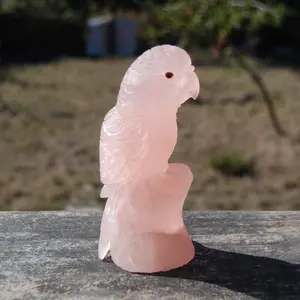 5.5in 1.2lb Large Master Carved Rose Quartz Crystal Parrot