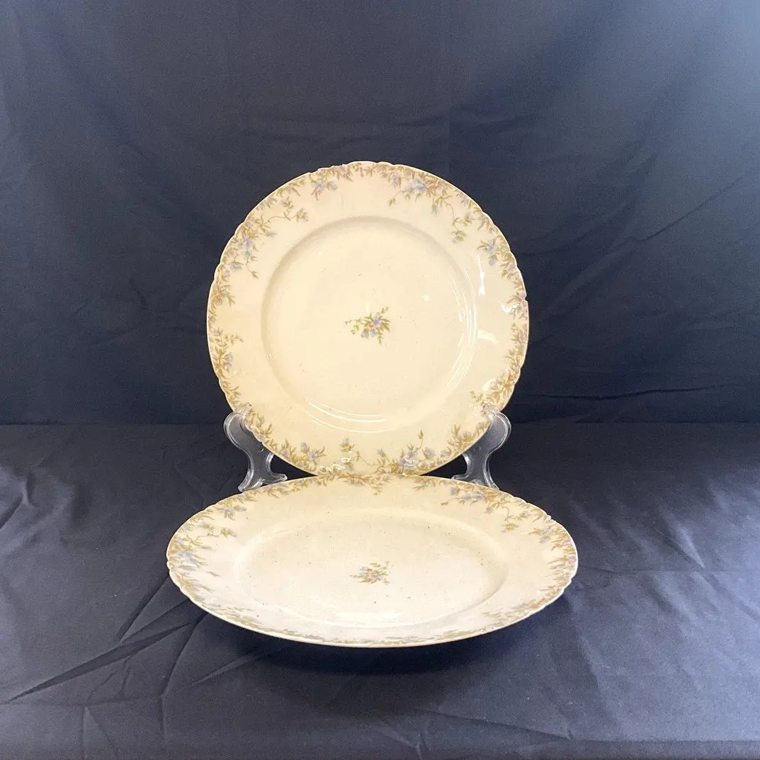 Antique C.H. Field Haviland Limoges Plates - Set of 2