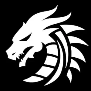 Dragon Fidgets shop logo