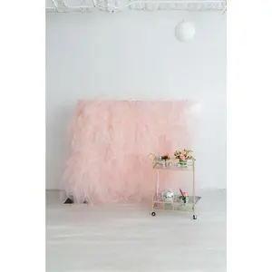Tulle Fringe Backdrop in Blush