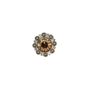 Topaz & Champagne Antique Silver 1" European Crystal Concho