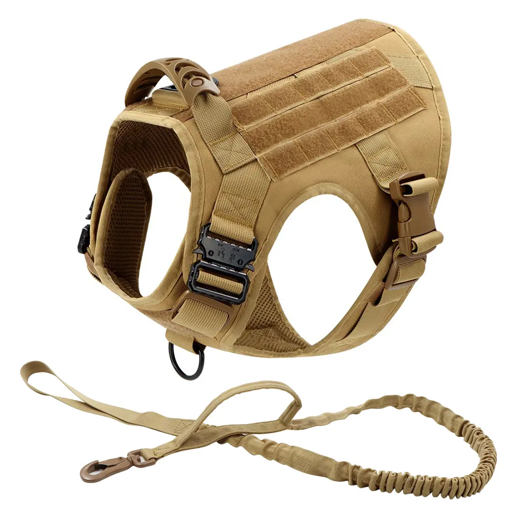 Brown Harness with Leash