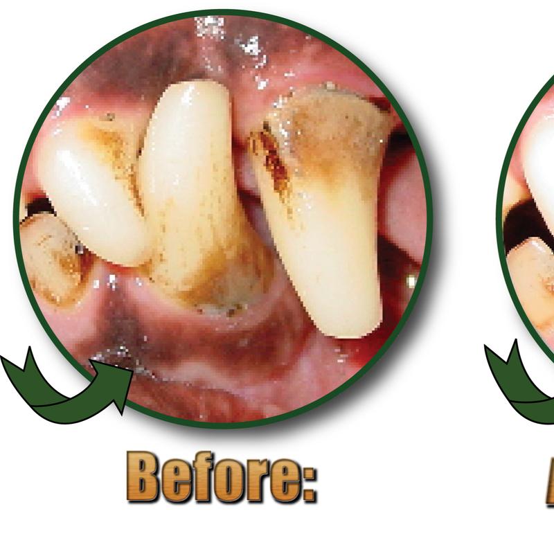 Vets Ref Plaque Attack Pet Dental Spray - 1oz - Multi-Purpose Dental Treatment for Flouride, Calcium & Gingivitis Prevention