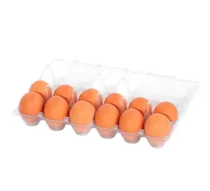 12-Egg Clear Plastic Carton for Safe and Presentable Egg Storage