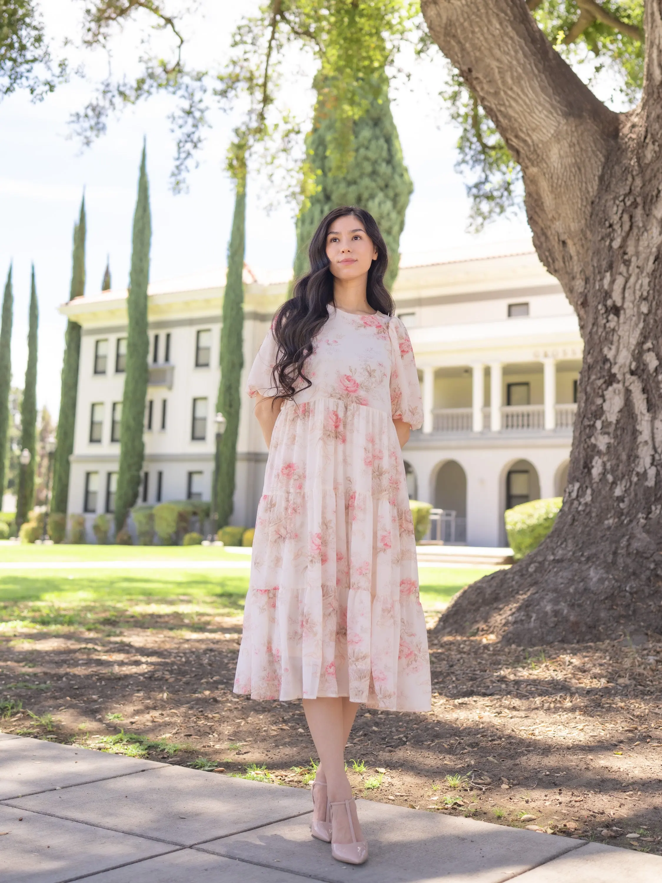 Briar Rose Dress