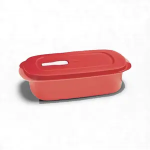 Micro Flash Rectangular Small 1L Color Red