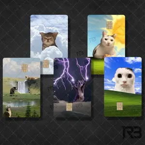 Funny Derpy Cat Nature Memes Sticker Cover for Debit Card or Credit Card